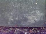 image of grave number 397243